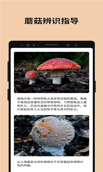 蘑菇识别助手(Picture Mushroom)