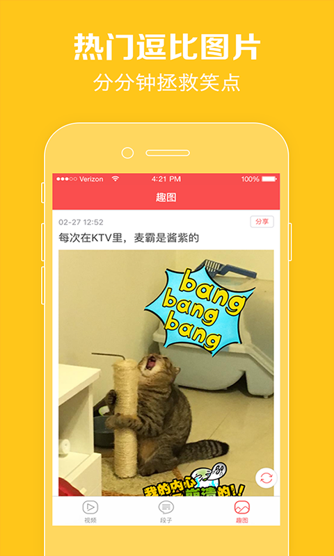 猫咪