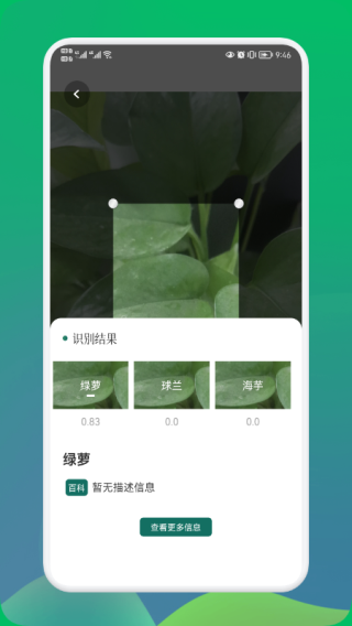 小园丁手机版