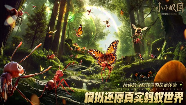 蚂蚁地下王国