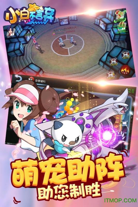 小白不言弃