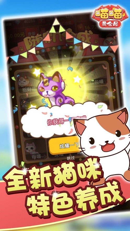 喵喵黄金屋