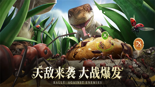 蚂蚁地下王国