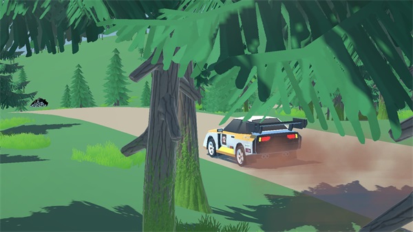 N3Rally安装器