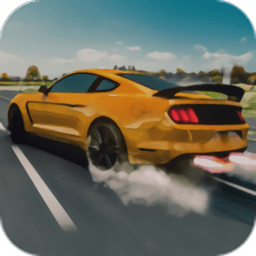 公路赛车手赛车(HighwayRacer)