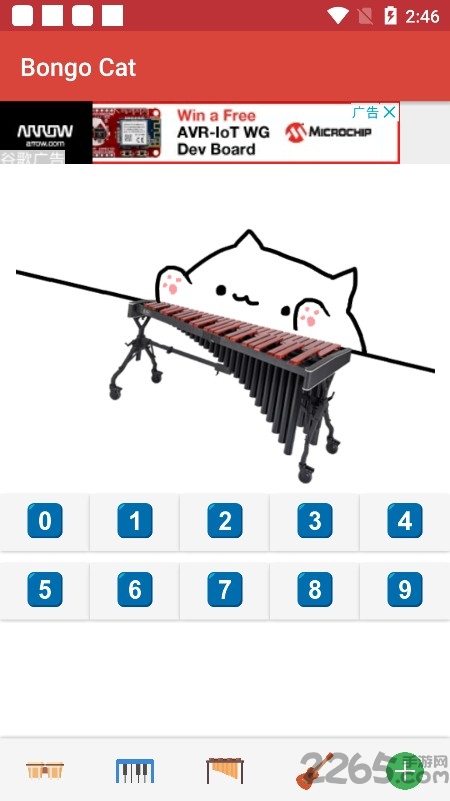 邦戈猫