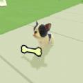 lostpuppy
