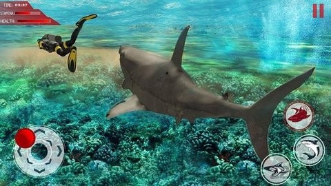 Angry White Shark Attack World