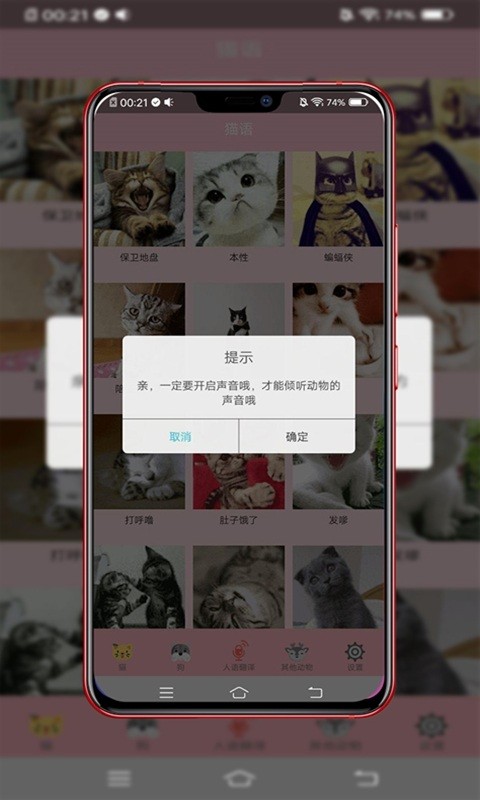 动物智能翻译