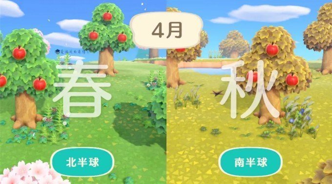 动物森友会