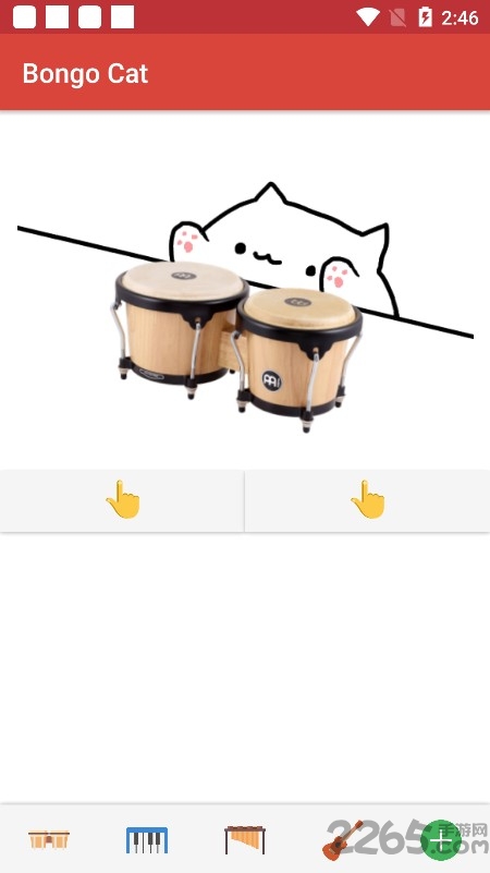 邦戈猫