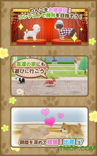 てのひら???