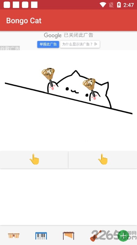 邦戈猫