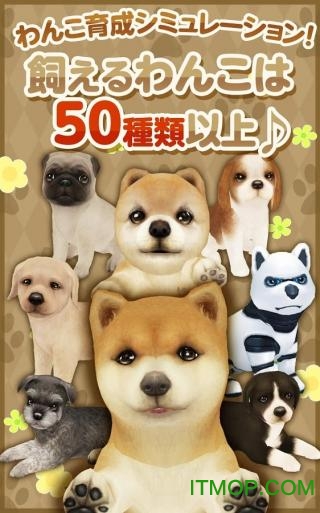 てのひらﾜﾝｺ