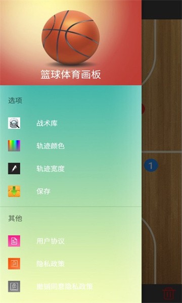 篮球体育画板最新版