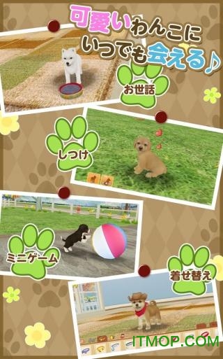 てのひら???