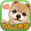 てのひら???