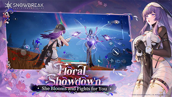 Snowbreak安装器
