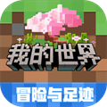 我的世界1.14.2.51