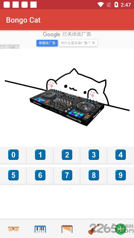 邦戈猫