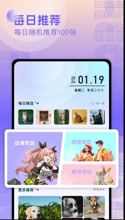 奇妙搜索
