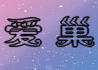 爱巢手机版