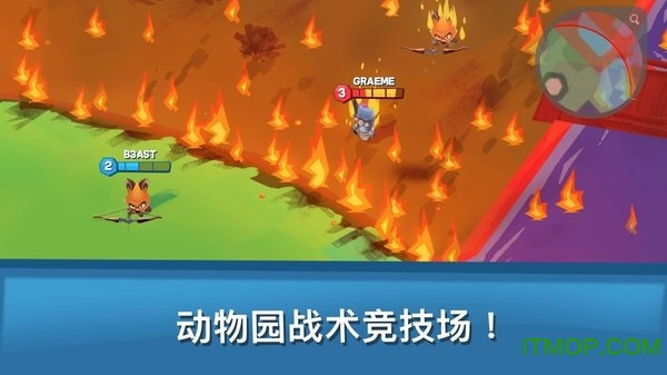 zooba修改器版