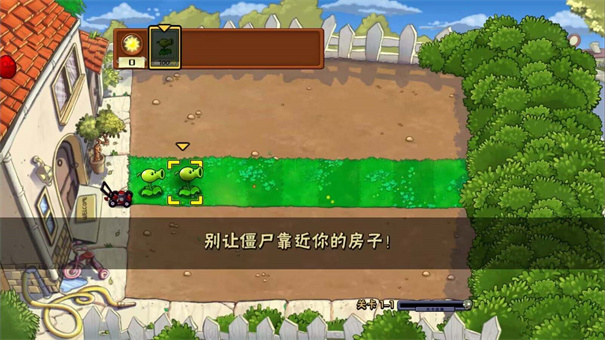 植物大战僵尸95版安装器