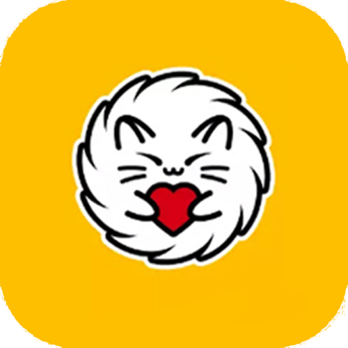 刺猬猫代付