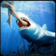 Angry White Shark Attack World