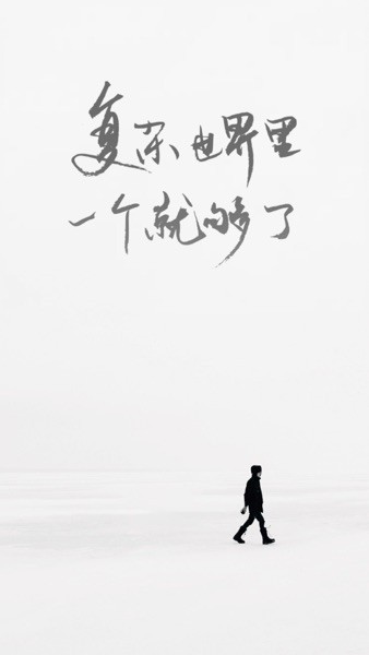 一个手机版