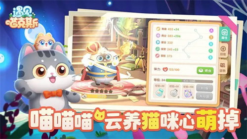 遇见喵克斯 官网下载