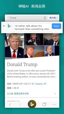 必应bing(Microsoft Bing)
