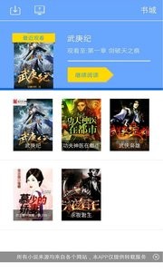 KK小说