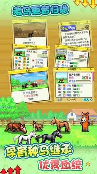 赛马牧场物语 汉化版