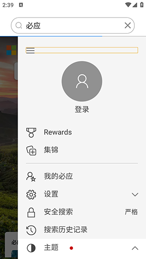 爱搜浏览器 官方入口