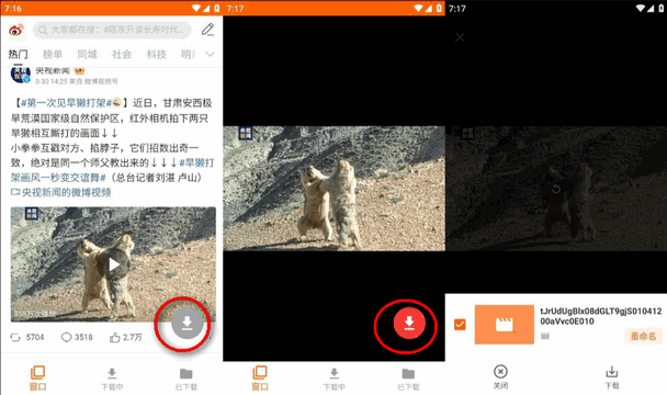 全能视频下载器app