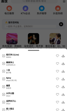 DX云音乐 2024最新版