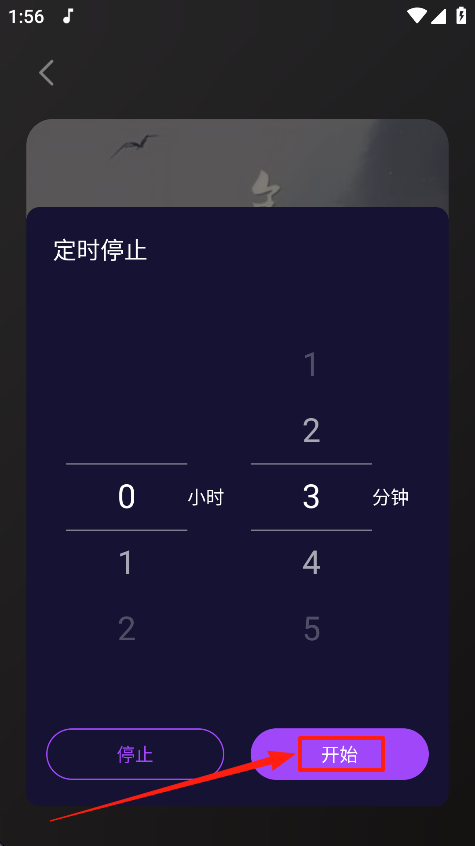 Fly音乐Plus