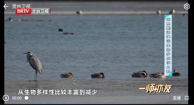 小电视