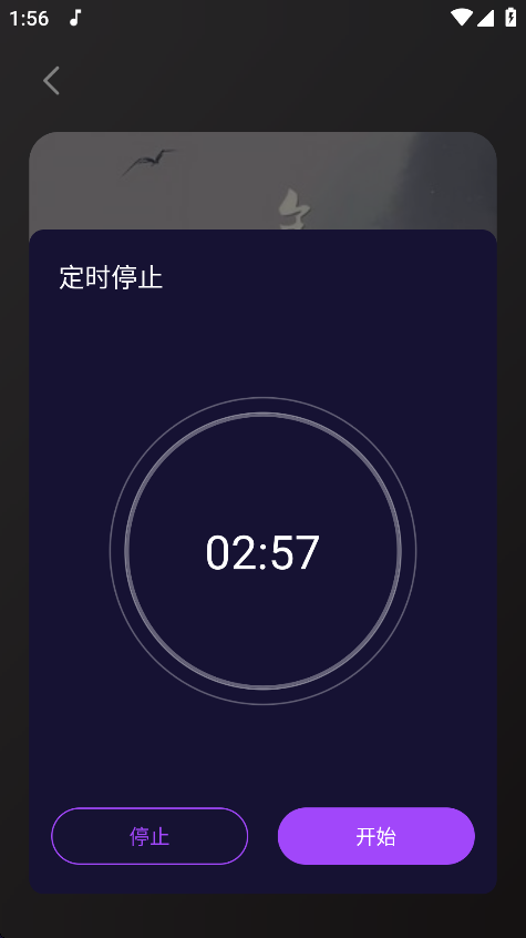 Fly音乐Plus