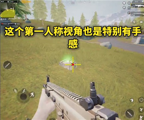 画质MXpro终极版