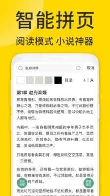 ViaX浏览器插件版