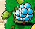 植物大战僵尸杂交版3.8.1