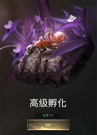 小小蚁国国服