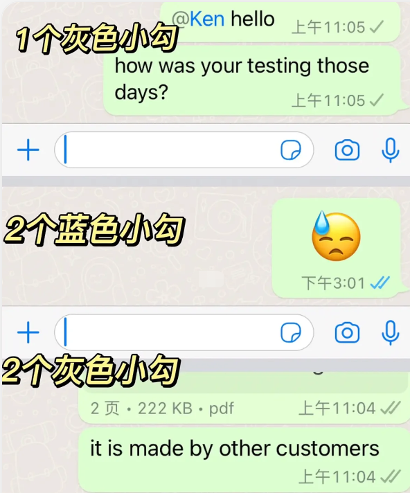 whatsapp官方版