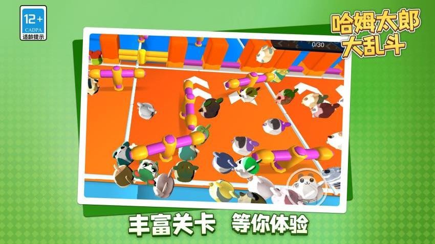 哈姆太郎大乱斗