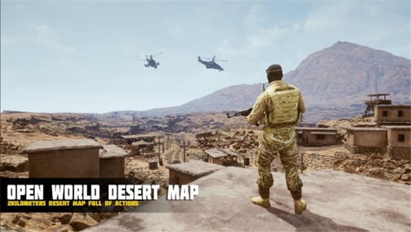 DesertStormOperation安装器