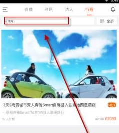 领游
