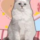 解压收纳神器最新